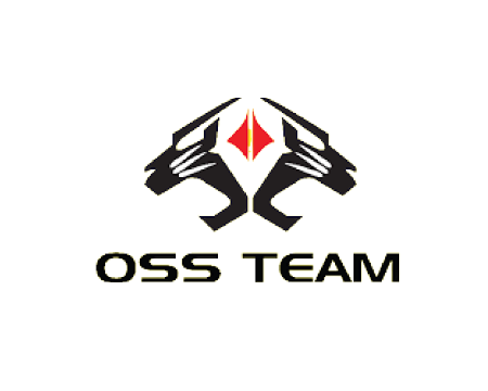 OSS Team