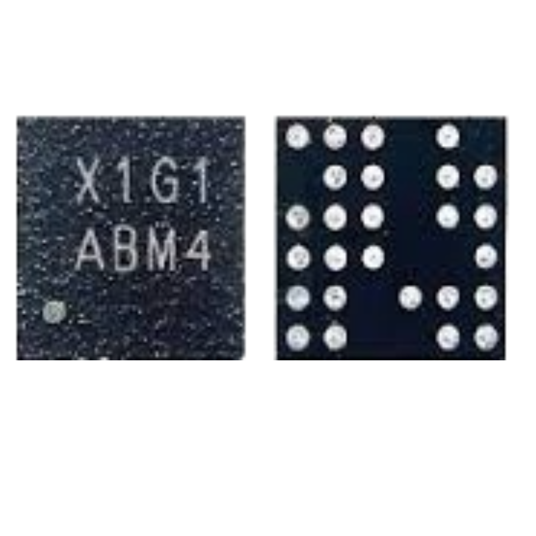 X1G1 IC